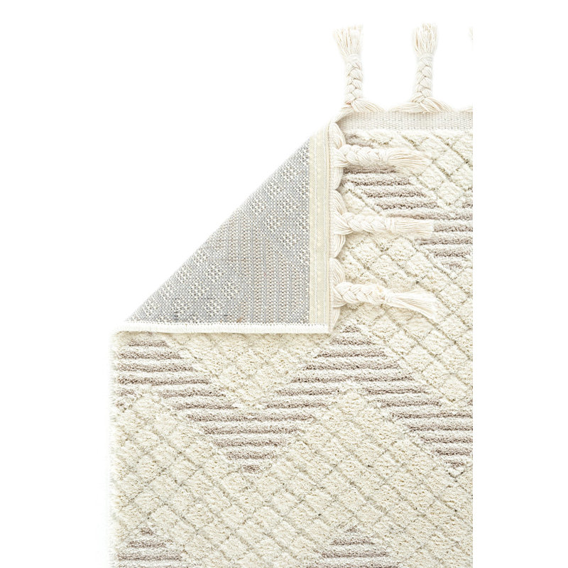 Renlie Machine Made Indoor / Outdoor Area Rug, Rectangle 6'6.7" x 9'10.1"