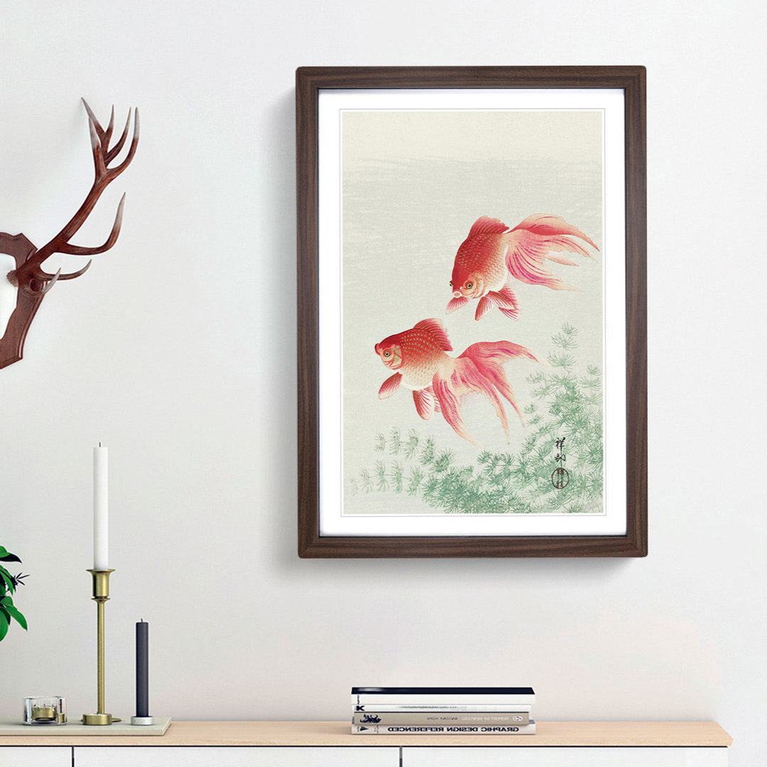 Two Veil Goldfish by Ohara Koson - Picture Frame Painting Print