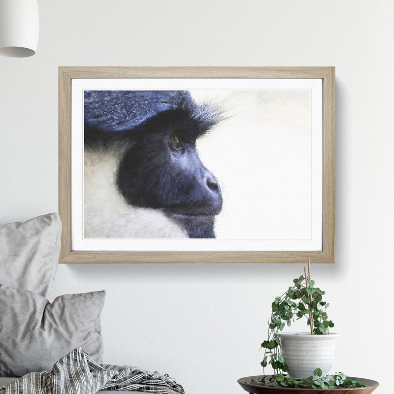 Colobus Monkey - Picture Frame Graphic Art, Oak Framed, 36cm H x 48cm W x 2cm D