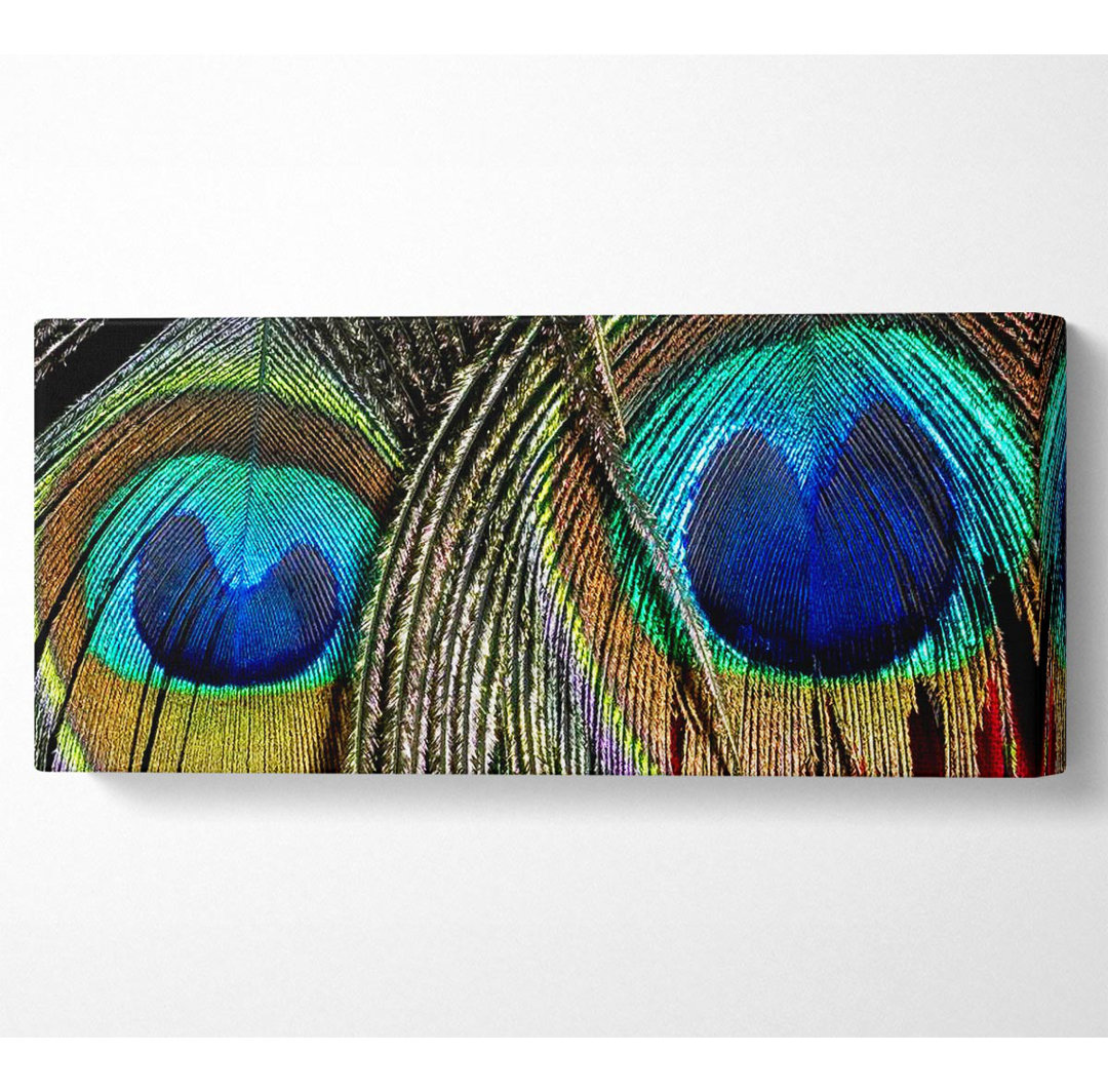 Pfauenfeder-Duo - Leinwanddrucke auf Wrapped Canvas