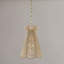 Luminaire suspendu 1 lumière Aaliyah