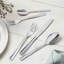 Villeroy & Boch Liam, 40 Piece Flatware Set, Service For 8