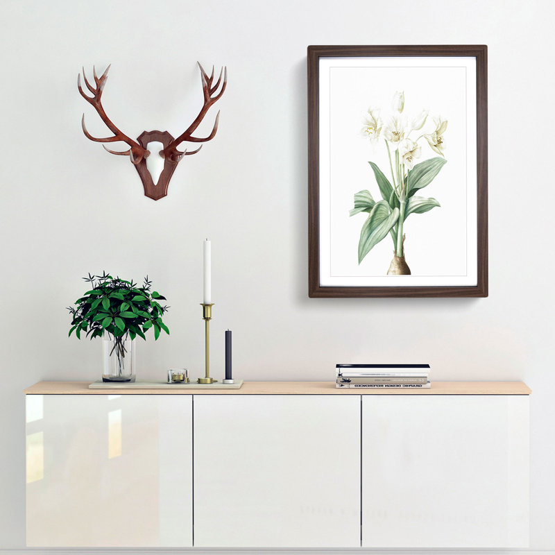 Crinum Flowers by Pierre-Joseph Redoute - Framed Print, 36cm H x 27cm W x 2cm D, Walnut Framed