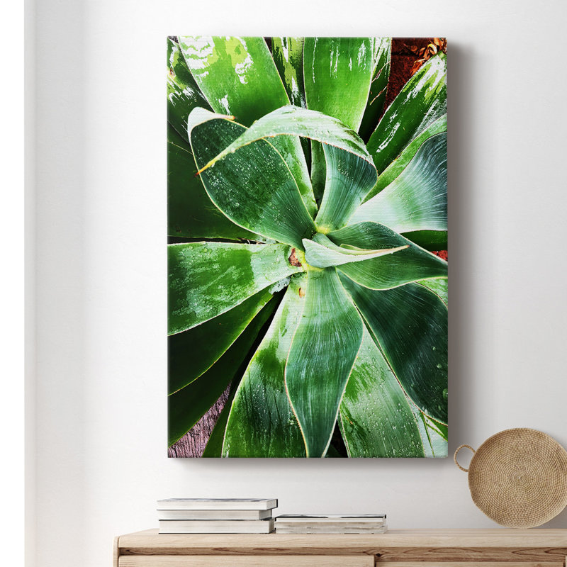 " Green Tropcal Succulent ", 12"W x 18" H