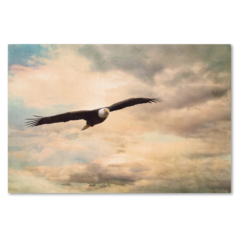 'High Flyer Bald Eagle' Graphic Art Print on Wrapped Canvas, 12" H x 19" W