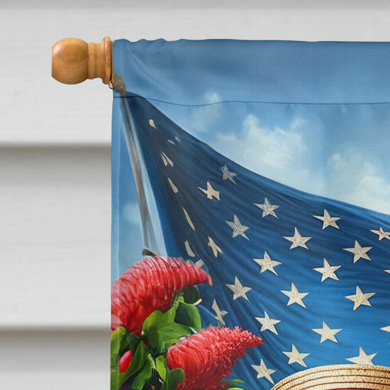 Drapeau «All American House», Lévrier afghan