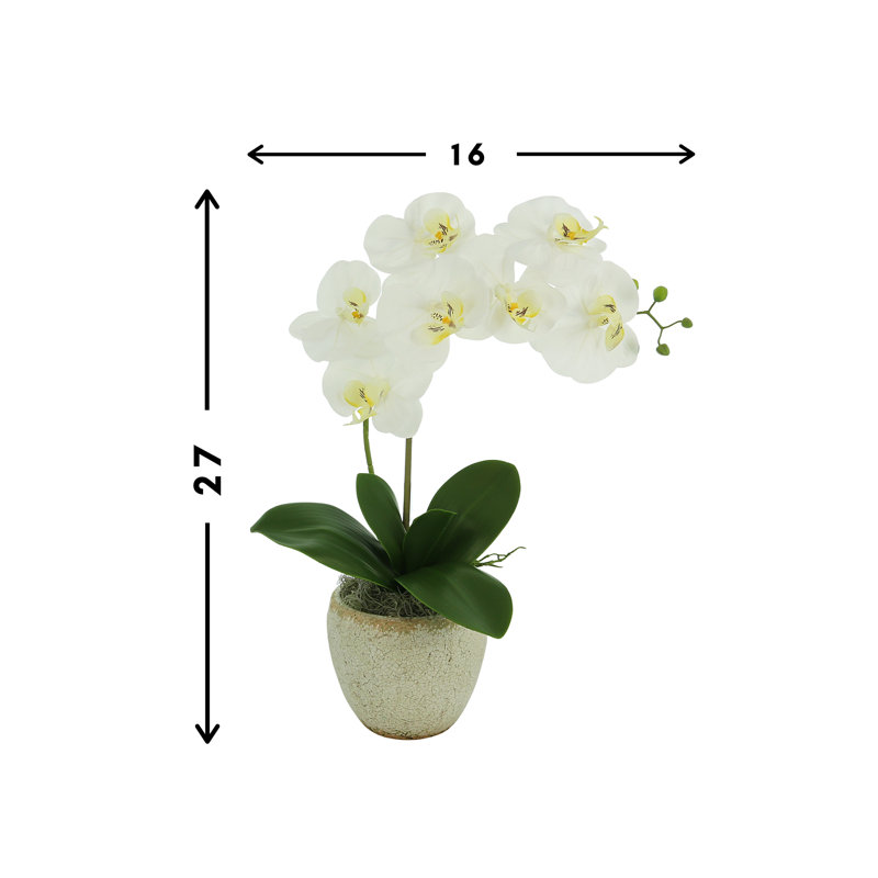 Vase Orchidée
