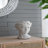 Greek Style Cement Head Planter - Indoor Outdoor Home Garden Decor, D7" X 11"