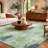 Premium Machine Washable Dream Shag ADS192 Turtles Rug-895849928-895849931