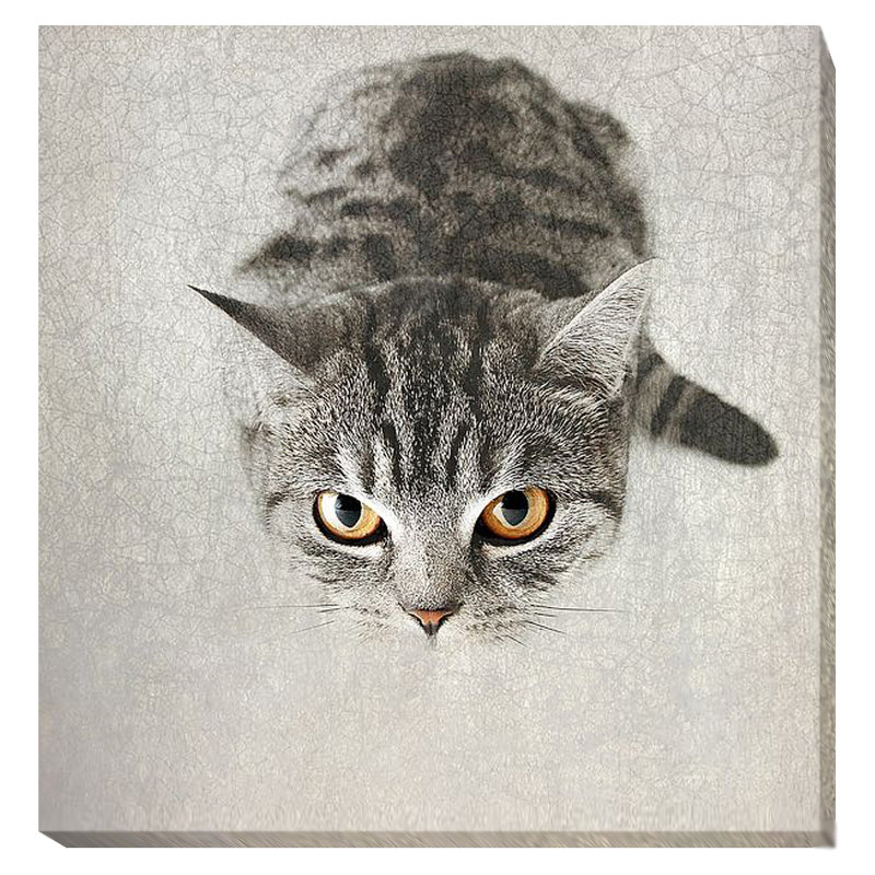 « hello kitty », reproduction de photo sur toile tendue, H 18 po x l 18 po x P 1,5 po