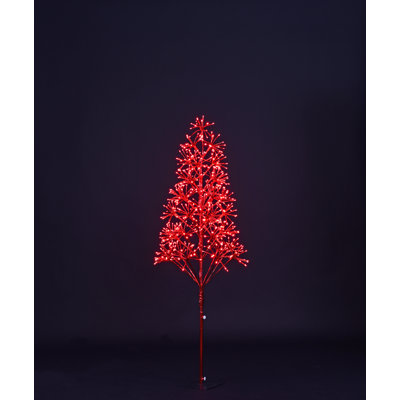 Lighted Trees & Branches