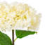 Artificial Hydrangea Spray-1687099545