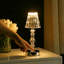 Faune Acrylic USB Desk Lamp