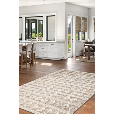 Delfida Performance Hand Braided Wool Rug