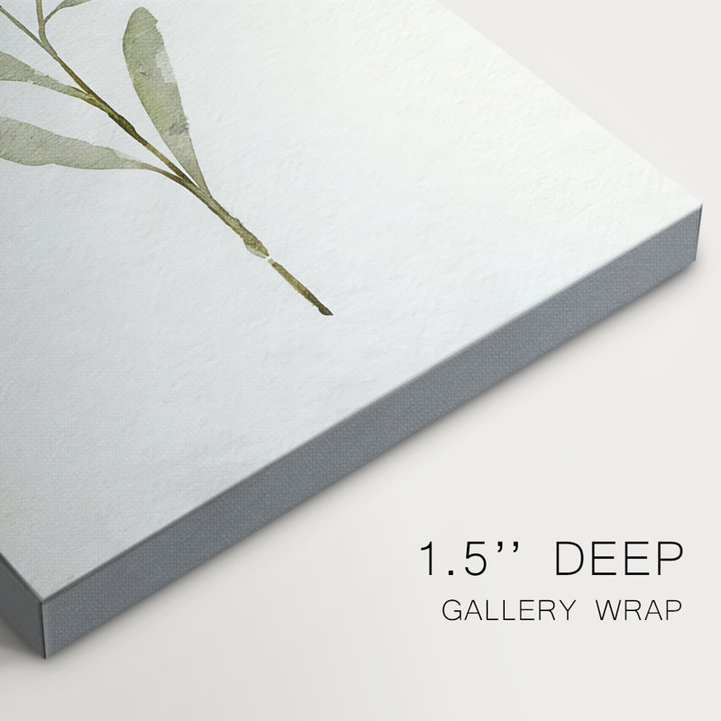 Olive Leaves III -Galerie enveloppée Cavas