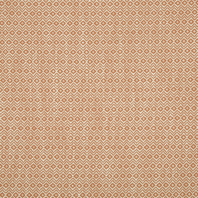 Botanical Color Fabric