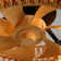 Erilynn 20'' Boho Caged Ceiling Fan with Light Kit and Remote Control Included