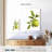 Yarlin Farmhouse Kitchen II-108446820