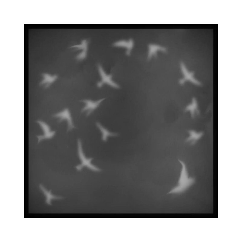 Flock Of Birds - Wrapped Canvas Print, 30.48cm H x 30.48cm W x 1.91cm D