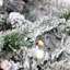 Fraser Hill Farm 10-Ft. Flocked Mountain Pine Christmas Tree With Smart String Lighting, FFMP010-3SN-758411561