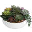 Plante grasse artificielle 1,8 po en pot