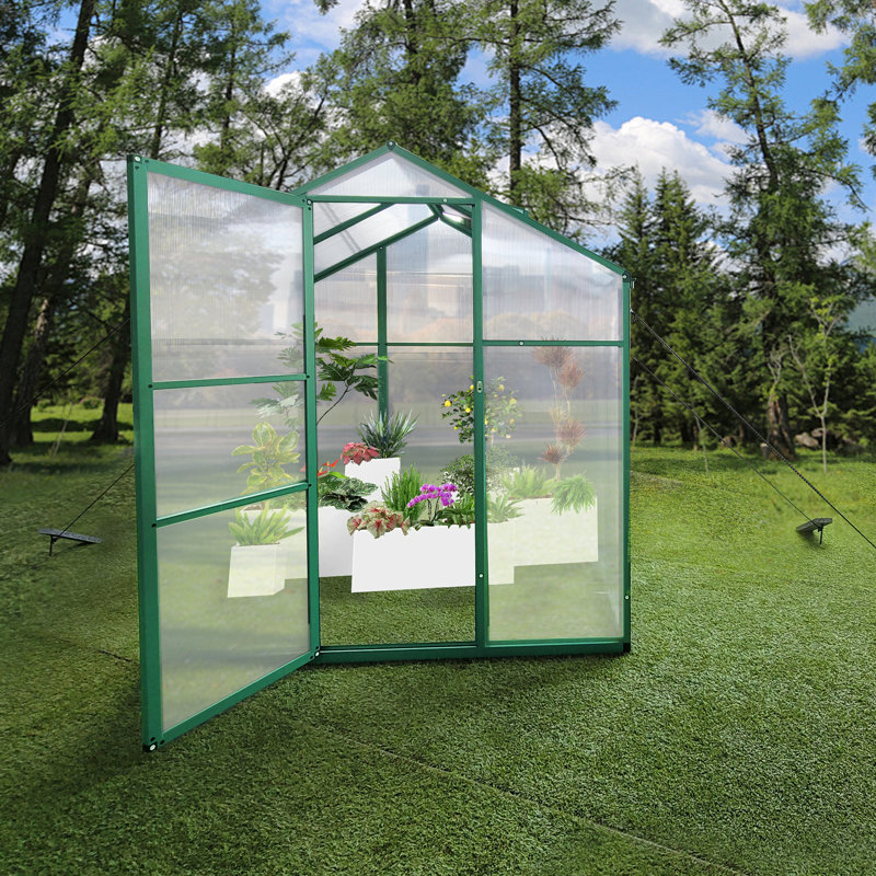 Serre en aluminium robuste de 6 pi x 4 pi - Polycarbonate pour une utilisation en toute saison