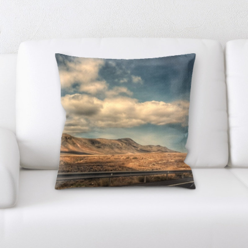 Desert Microsuede Reversible Throw Pillow