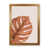 Brown Framed is unavailable