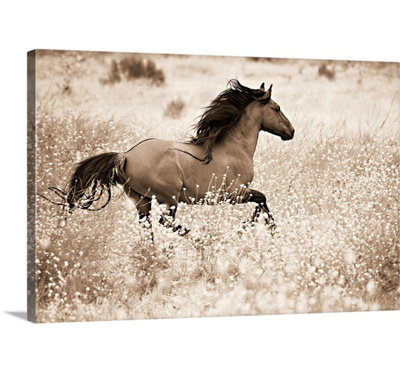 «Kemani Courir libre» Lisa Dearing, reproduction de photo