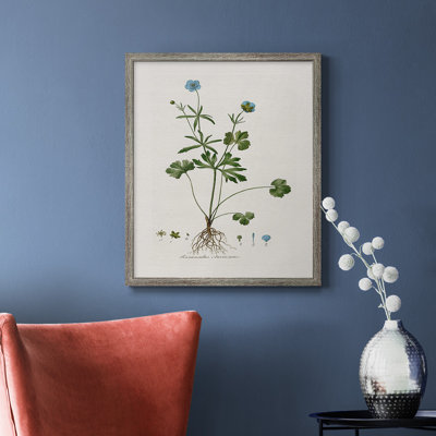 Buttercup Study Premium Framed Canvas - Ready to Hang