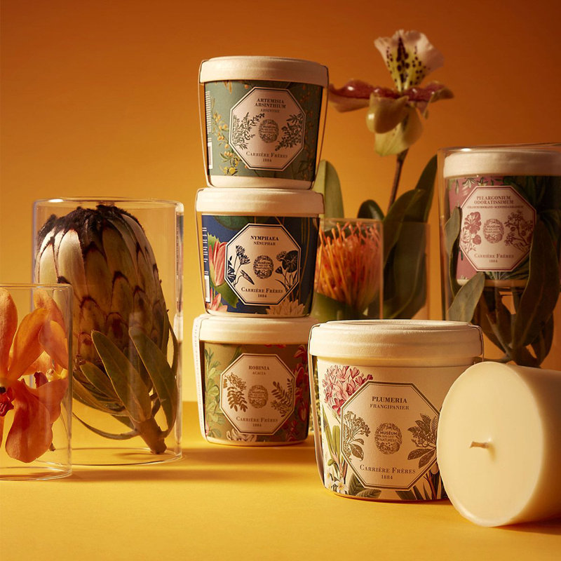 Frangipani Candle