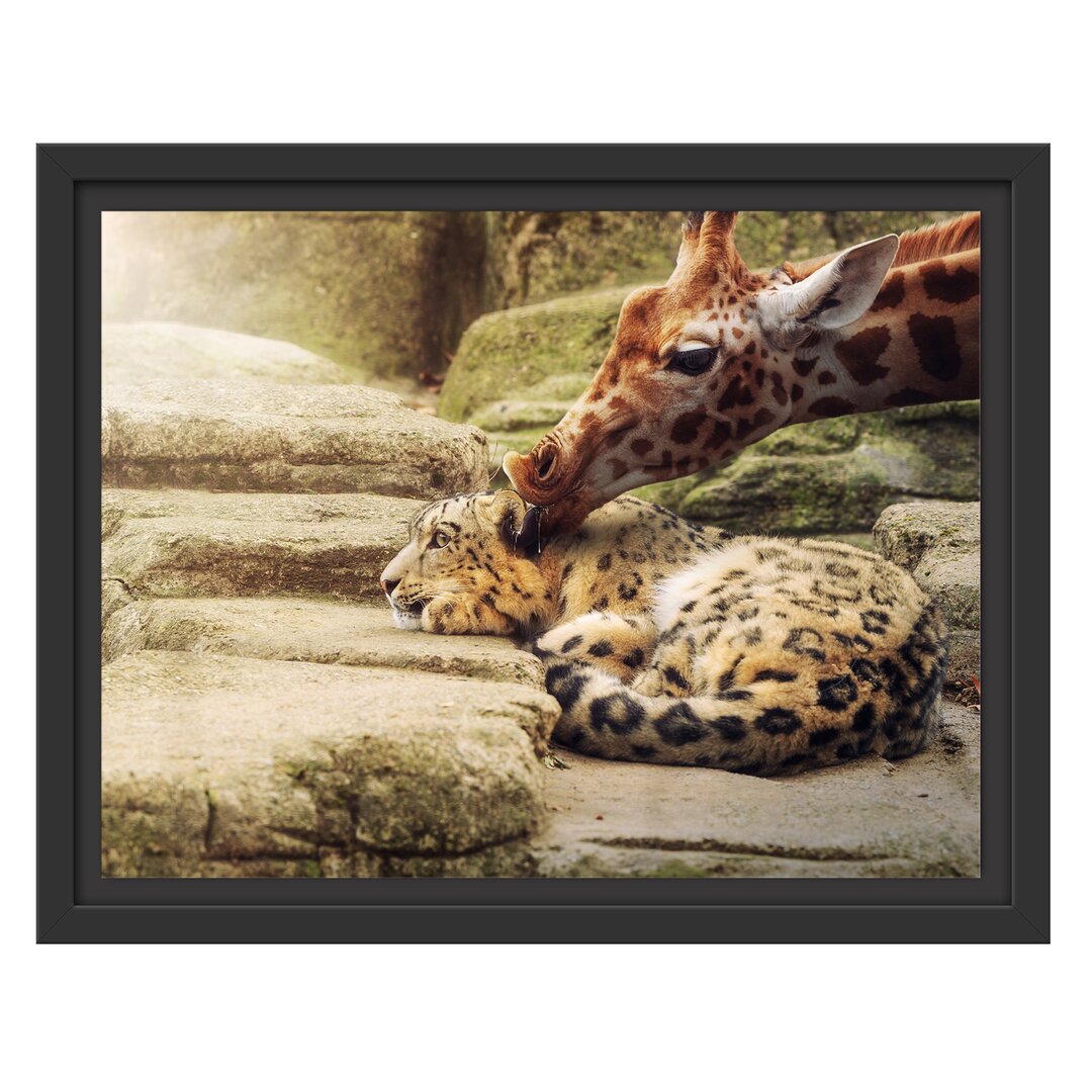 Gerahmtes Wandbild Leopard und Giraffe