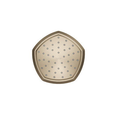 Occasion Full/Standard Fixed Shower Head