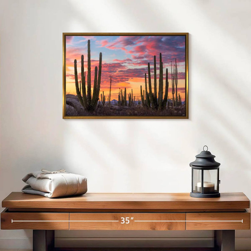 Lever de soleil de Baja California, Cadre flottant doré, 19 po x 13 po