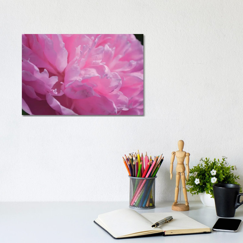 Pastel Peony 1 Piece Wrapped Canvas Wall Art, 20.32cm H x 30.48cm W x 1.905cm D