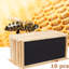 10 pièces Beehive Honey Hive Frame Bee Hives Bee Comb-629403890
