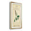 Linnaean Botany II - peinture encadrée-825604140-825604145