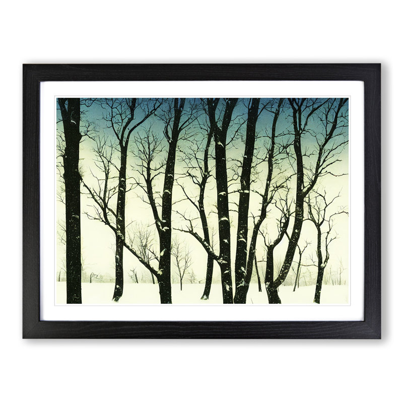 Picturesque Winter Forest - Single Picture Frame Print, Black Framed, 46cm H x 64cm W x 2cm D
