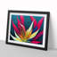 Bird Of Paradise Flower Splash Vol.6 - Single Picture Frame Print-1784808871-1784808869