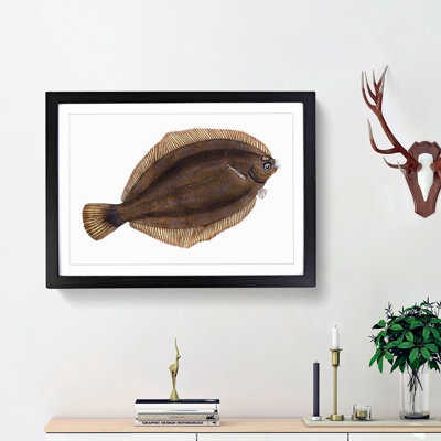 Turbot Fish by Edward Donovan - Picture Frame Painting Print