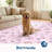 Floral Machine Washable Rug with Rubber Backing Foldable Printed Non Slip Carpet, Soft Easy Care Home Decor Floor Cover for Living Room Bedroom-109768724-109768751