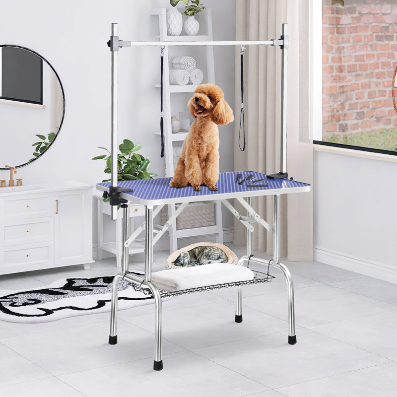 Table de toilettage professionnelle réglable, H 30 po x l 42 po x P 23,5 po, Bleu