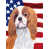 Épagneul cavalier King Charles 2 sélectionné