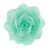 Vert menthe