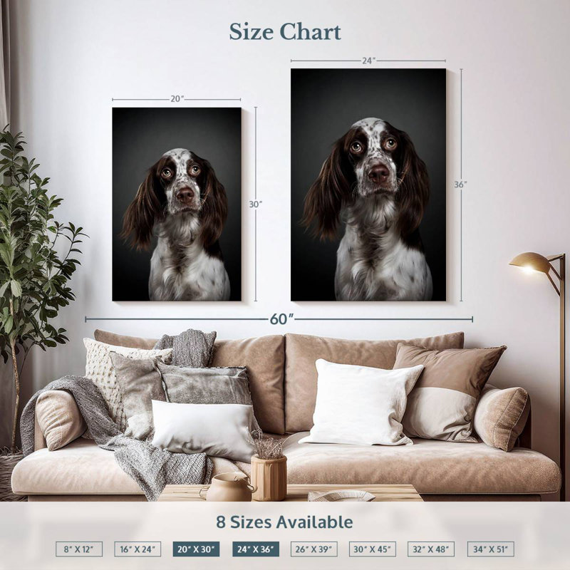 Adorable setter anglais, H 36 po x l 24 po