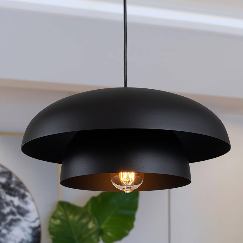 Ceiling Hanging Light Fixtures, Black