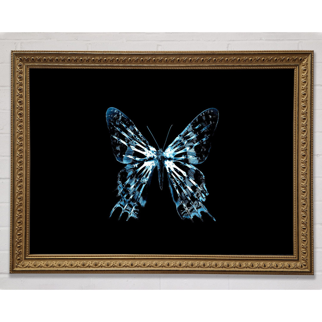 Schmetterling X Ray - Druck