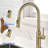 Rainlex Pull Down Kitchen Faucet