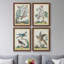 «Pastel Birds I», toile encadrée de qualité supérieure - prête à être accrochée-794121034-794121043