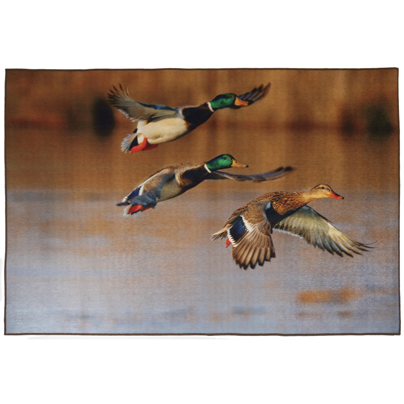 Tapis canard